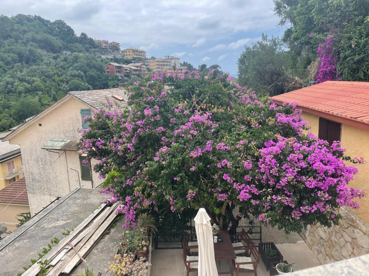 Ca' Di Bianca Hotel Moneglia Bagian luar foto