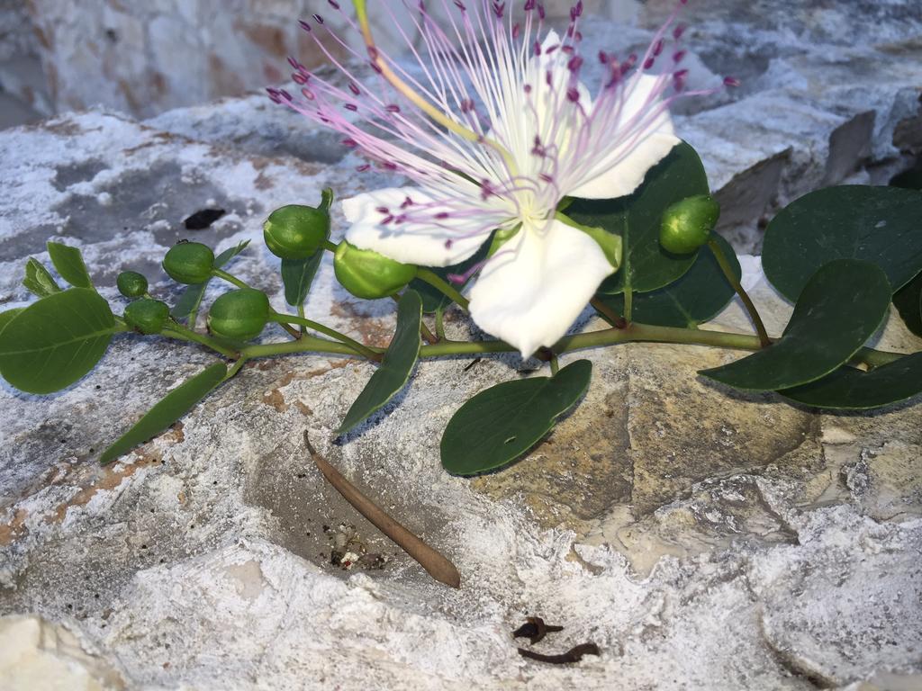 Ca' Di Bianca Hotel Moneglia Bagian luar foto