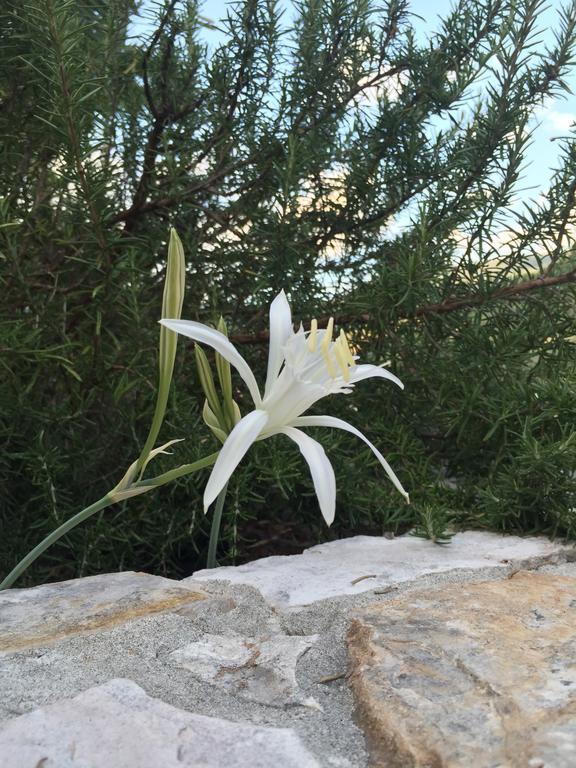 Ca' Di Bianca Hotel Moneglia Bagian luar foto